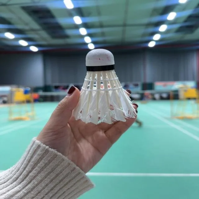 训练备战焦点解析：阵容视角的深度剖析